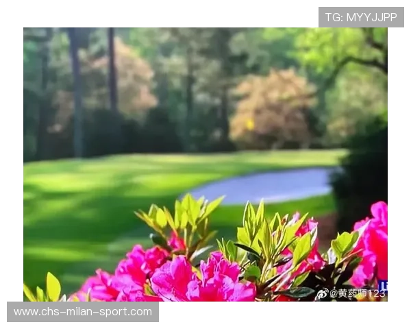奥古斯塔的杜鹃花：大师赛的植物景观，奥古斯塔月季花优缺点